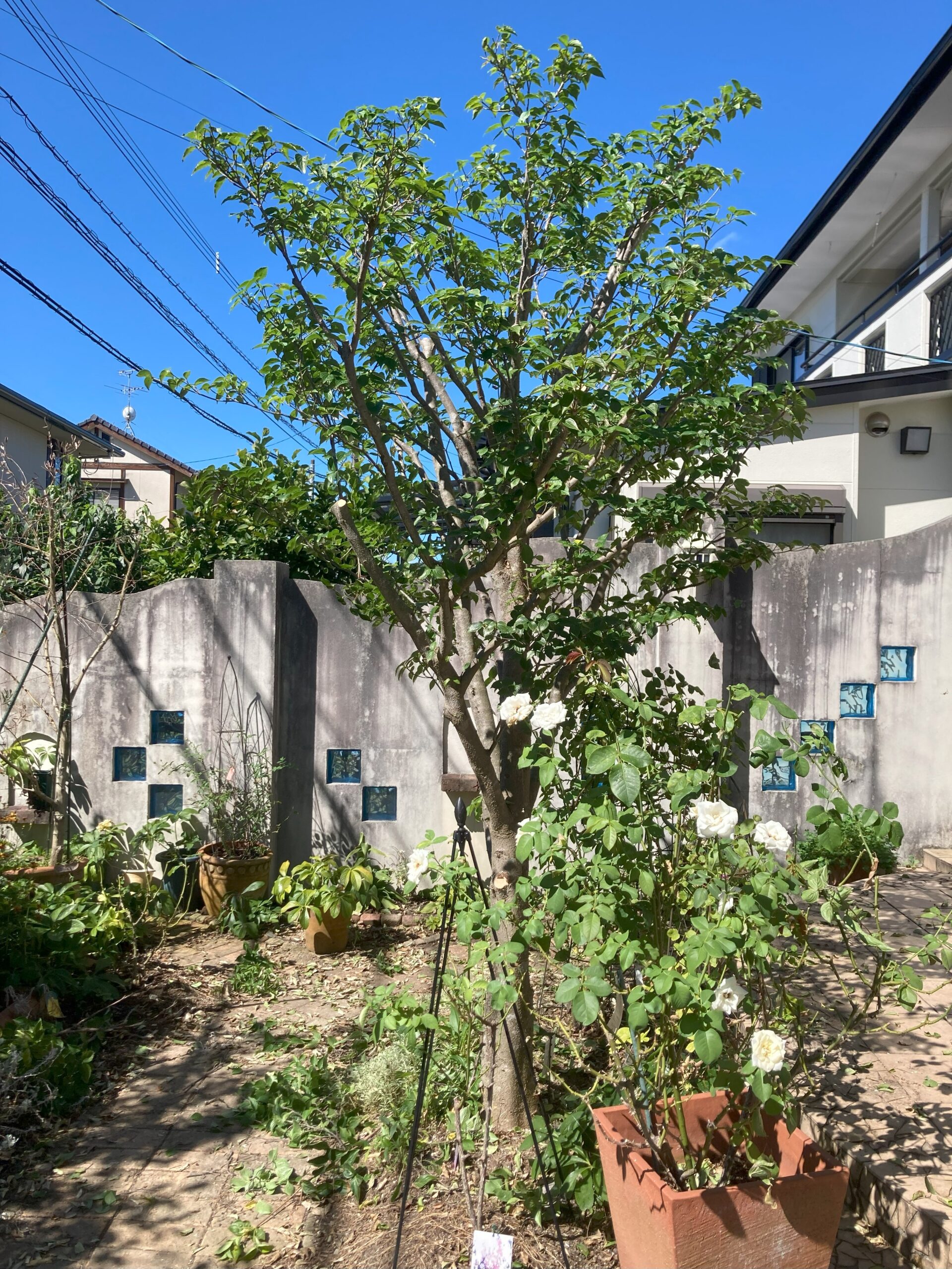 Before